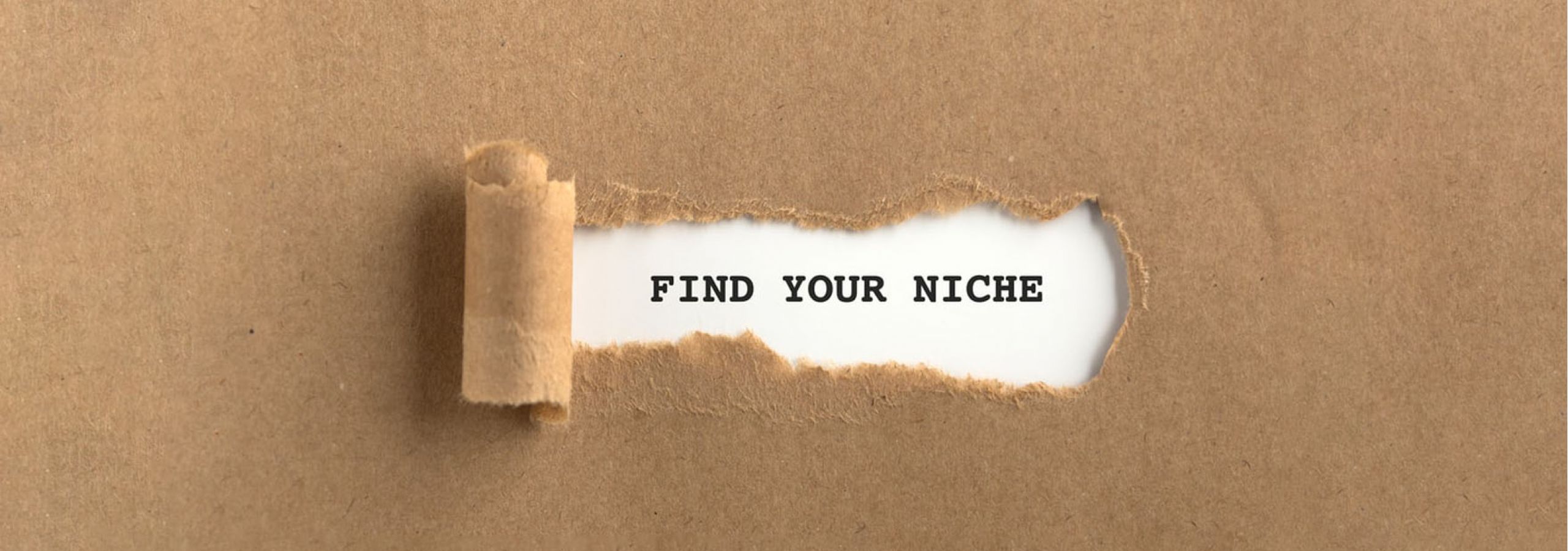 AB Media USA – Digital Marketing Agency | Finding Your Niche Finding Your Niche - AB Media Blog
